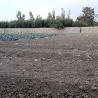 زمین ۸۳۰ متری|فروش زمین و ملک کلنگی|شهریار, دهشاد بالا|دیوار