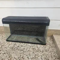 اکواریوم
