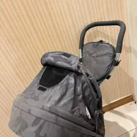 دوچرخه|دوچرخه، اسکیت، اسکوتر|رشت, کاکتوس|دیوار