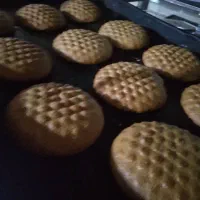 بیسکویت جو رژیمی و کلوچه جو رژیمی|عمدهفروشی|قدس, شهرقدس|دیوار