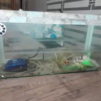 آکواریوم همراه با پمپ