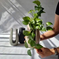 فروش قالب های سیلیکونی|صنایع دستی و سایر لوازم تزئینی|شاهین‌شهر, گرگاب|دیوار