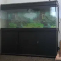 آکواریوم شرکتی بزرگ ماهیران با کلیه متعلقات