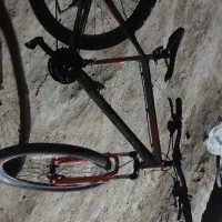 رضا ناصری|دوچرخه، اسکیت، اسکوتر|لیلان, |دیوار