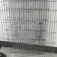 پارک سگ
