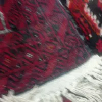 قالیچه دستباف|فرش|تایباد, |دیوار