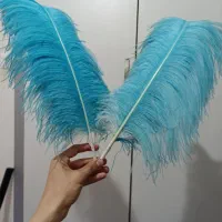 شاه پر تعزیه خوانی