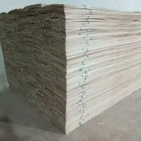 تولید روکش چوب راش وصنوبر