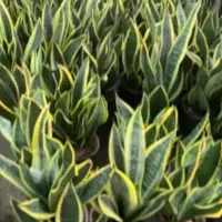 دنبال کار موقت هستم