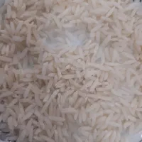 برنج هاشمی درجه یک اصلاح شده