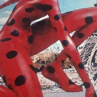 فرش ۴ متری