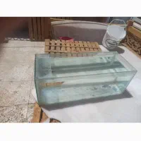 اکواریوم بسیار خوب وقت ترک داشت چسب اکواریوم زدم|ماهی|اصفهان, ارداجی|دیوار