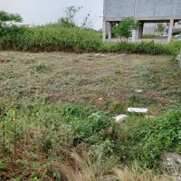 زمین مسکونی سند تک برگ در رودسر