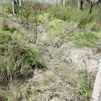 علفزنی شخم‌زنی وهرکاری که به کشاورزی مربوط باشه