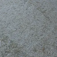 لوبیا سفید درجه یک