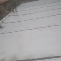 نصابی ایز.وگام