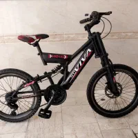 دوعدد دوچرخه ۲۰ دنده ای و۱۲ساده