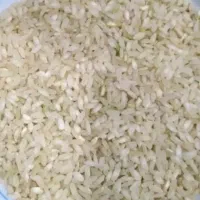 برنج چمپا لری