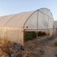 سازه گلخانه ۶۰۰متری پایه وسط