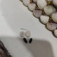 انواع مهره|بدلیجات|ایلام, |دیوار