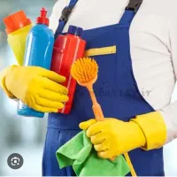 شرکت خدماتی نظافتی پیشگامان پاکی