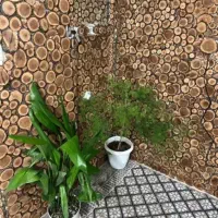 گل و گیاه طبیعی|گل و گیاه طبیعی|قم, امامزاده ابراهیم|دیوار