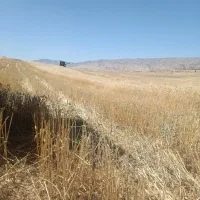 کاه گندم 20کوپه