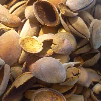 پوست بادام|خوردنی و آشامیدنی|دشمن زیاری, |دیوار