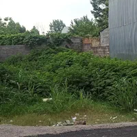 زمین  ارزان در خوش اب و هوا ترین جای ایران|فروش زمین و ملک کلنگی|تهران, علم و صنعت|دیوار