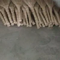 جارو
