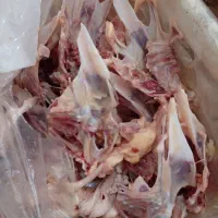 اسکلت مرغ تازه