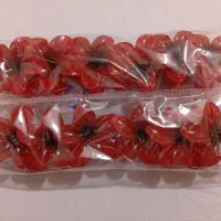 تمامی پلومریا ها ۶ سانتی فقط و فقط 30 هزار تومان|زیورآلات و اکسسوری|فیروزکوه, |دیوار