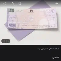 ضامن. فقط چک