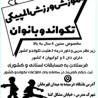 آموزش ورزش المپیکی تکواندو بانوان|خدمات آموزشی|شیراز, شهرک مدرس|دیوار