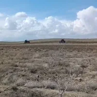 اجاره زمین کشاورزی در بویین زهرا|اجارهٔ دفتر صنعتی، کشاورزی، تجاری|بوئین زهرا, |دیوار