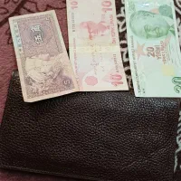 کیف جیبی چرم اصل (ایتالیا) جاکارتی با پول خارجی