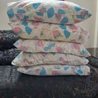 پر مرغ تمیز