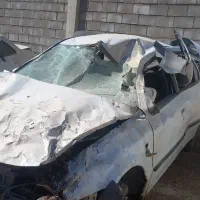 سمند تصادفی