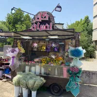 جشنواره رزطبیعی فقط شاخه ای ۳۵هزارانواع گلهاطبیعی