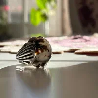 شجر قائن|جواهرات|باسمنج, |دیوار