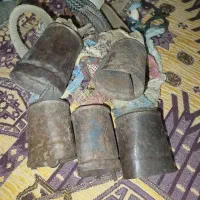 زنگول دور دم