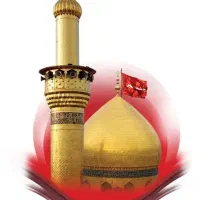 کاروان زیارتی کربلا یه سر هوایی