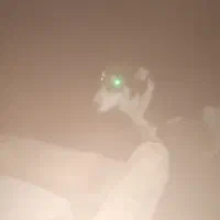 سگ ....|سگ|ایرانشهر, |دیوار