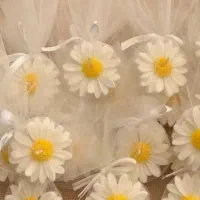 گیفت بابونه|صنایع دستی و سایر لوازم تزئینی|اقبالیه, |دیوار