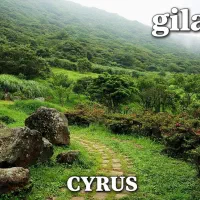 تور تفریحی|تور و چارتر|مشهد, سجاد شهر|دیوار