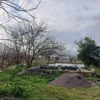 استخر-پرورش-ماهی