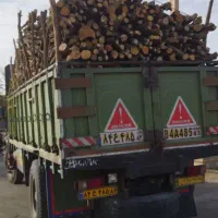 خریدار چوب وقطع درخت