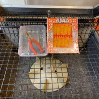 تعمیرات و راه اندازی|ماشینآلات صنعتی|مشهد, دانشجو|دیوار