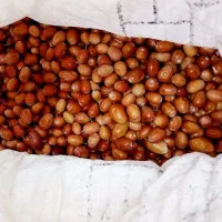 خشکبار|خوردنی و آشامیدنی|قم, ولیعصر|دیوار