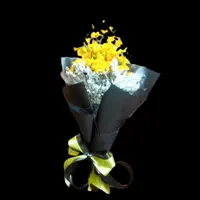 گل فروشی آنلاین/گل‌های مناسبتی/اجاره تاج گل ترحیم|گل و گیاه طبیعی|کرج, گوهردشت|دیوار